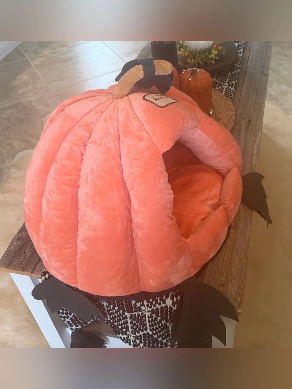 Armakat plush pumpkin